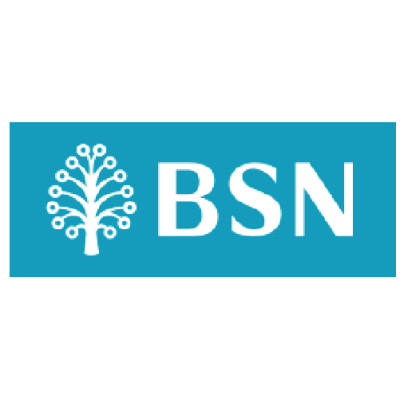 Bank Simpanan Nasional